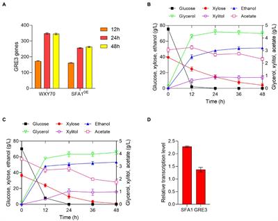 Overexpressing GRE3 in Saccharomyces cerevisiae enables high ethanol production from different lignocellulose hydrolysates